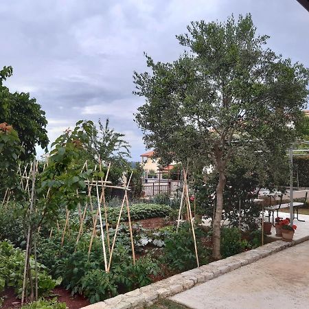 بولا Apartment Thea المظهر الخارجي الصورة